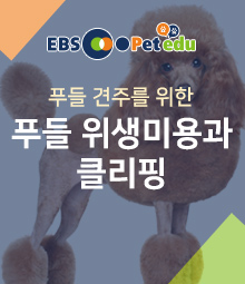 강좌이미지