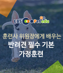 강좌이미지