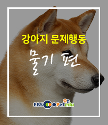 강좌이미지