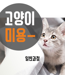 강좌이미지