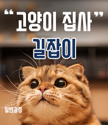 강좌이미지