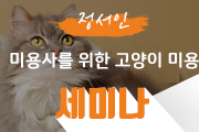 강좌이미지