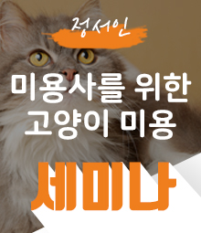 강좌이미지