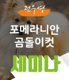 강좌이미지