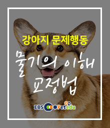 강좌이미지