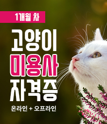 강좌이미지