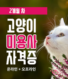 강좌이미지