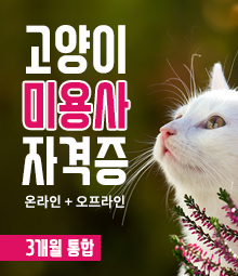 강좌이미지