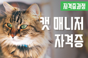 강좌이미지