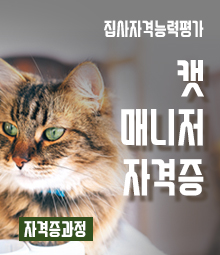 강좌이미지