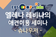 강좌이미지