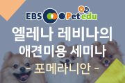 강좌이미지