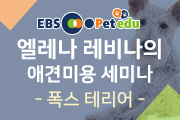 강좌이미지